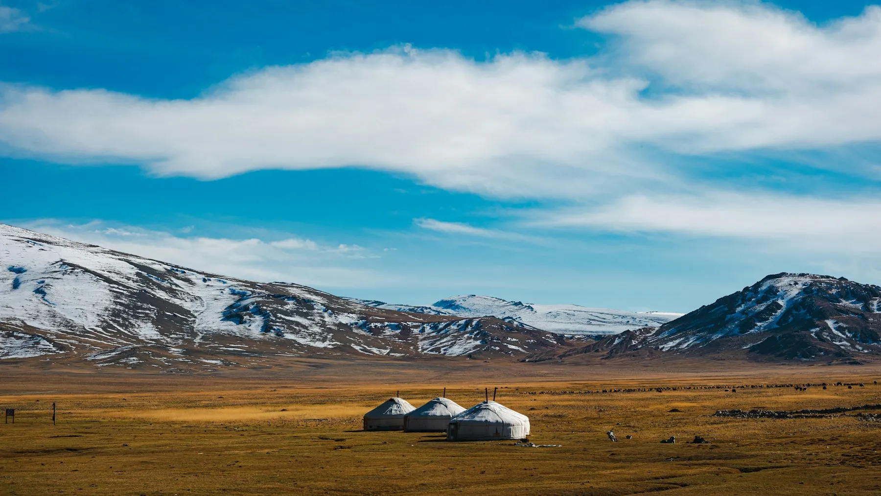 Drei Jurten in der mongolischen Steppe vor verschneiten Bergen